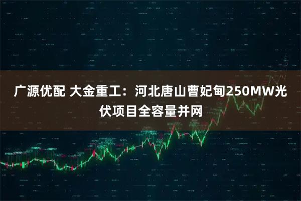 广源优配 大金重工：河北唐山曹妃甸250MW光伏项目全容量并网