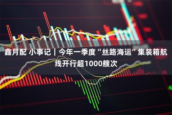 鑫月配 小事记｜今年一季度“丝路海运”集装箱航线开行超1000艘次