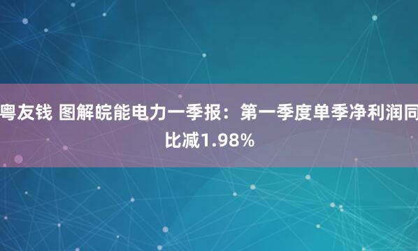 粤友钱 图解皖能电力一季报：第一季度单季净利润同比减1.98%
