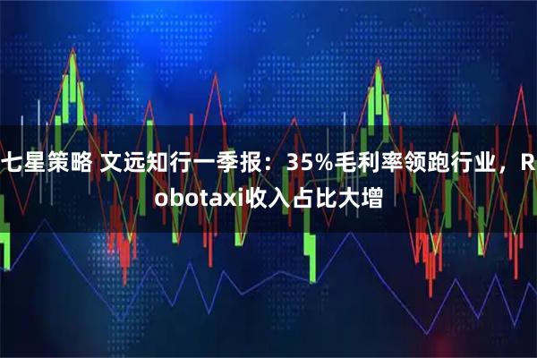 七星策略 文远知行一季报：35%毛利率领跑行业，Robotaxi收入占比大增