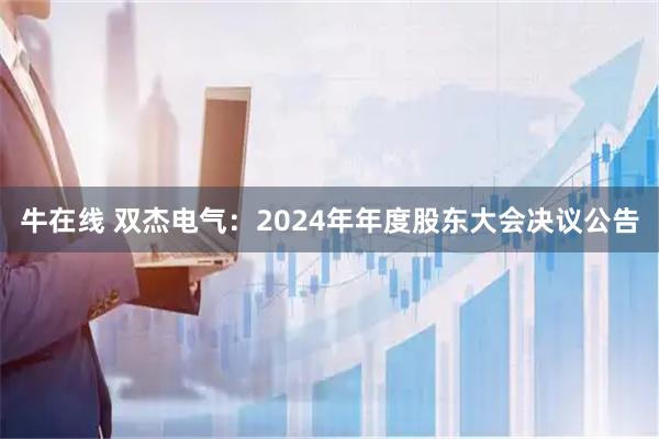 牛在线 双杰电气：2024年年度股东大会决议公告