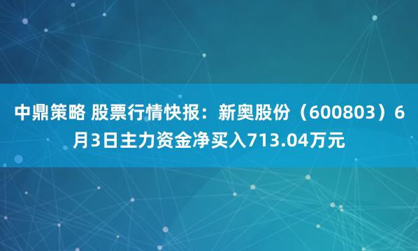 中鼎策略 股票行情快报：新奥股份（600803）6月3日主力资金净买入713.04万元