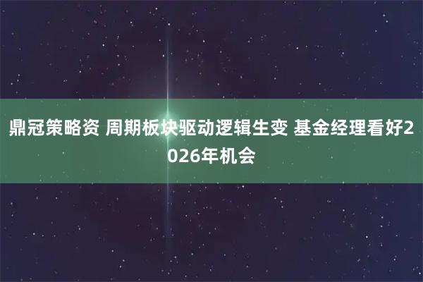 鼎冠策略资 周期板块驱动逻辑生变 基金经理看好2026年机会