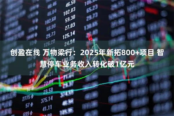 创盈在线 万物梁行：2025年新拓800+项目 智慧停车业务收入转化破1亿元
